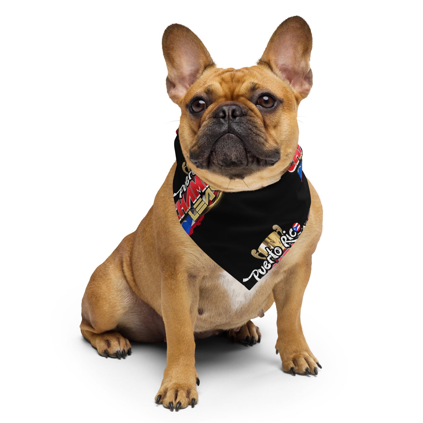 Puerto Rico Champions League Bandana
